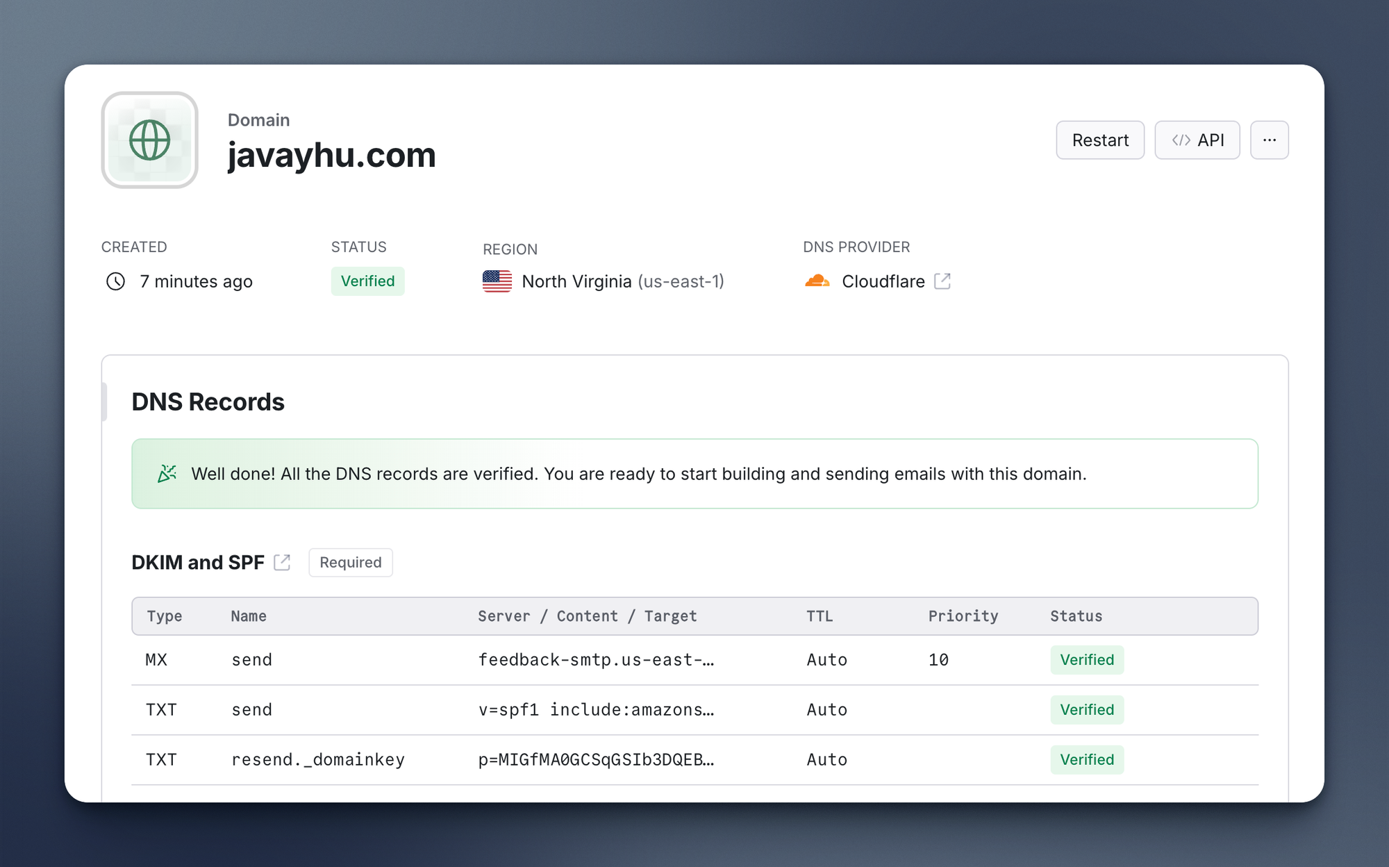 resend verify dns records success
